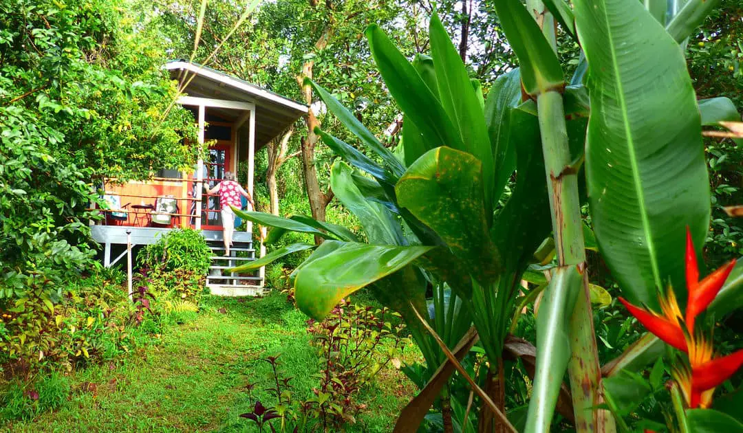 Start an Off-Grid Homestead in Hawaii