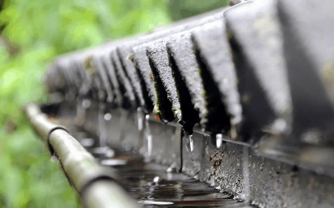 Off Grid Rainwater Harvesting in Hawai’i