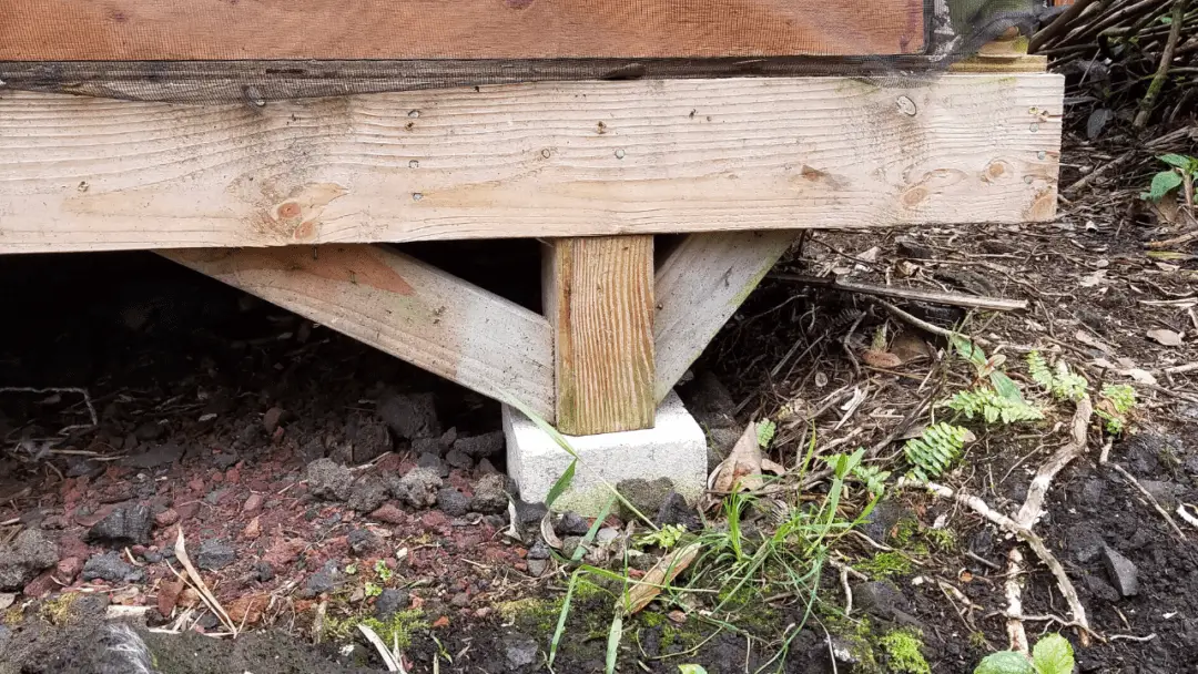 Why Are Houses in Hawaii Built Off the Ground? Homesteadinʻ Hawaiʻi