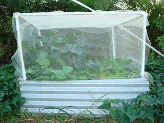 zucchini house