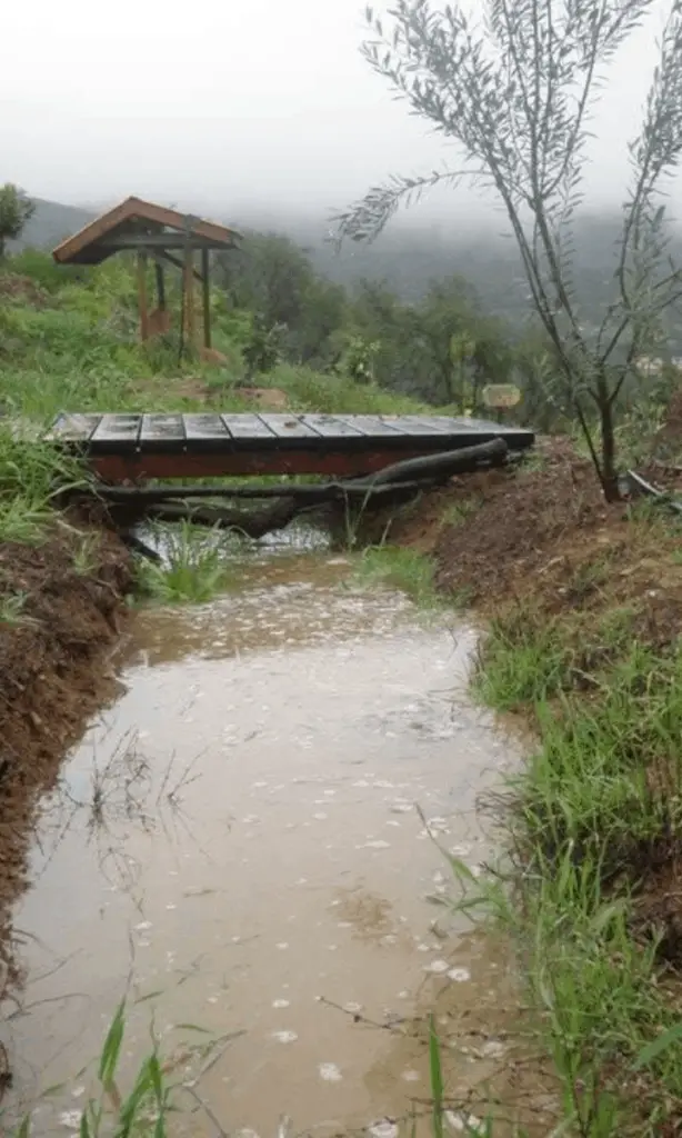 Off Grid Water Harvesting How To Install Rainwater Catchment