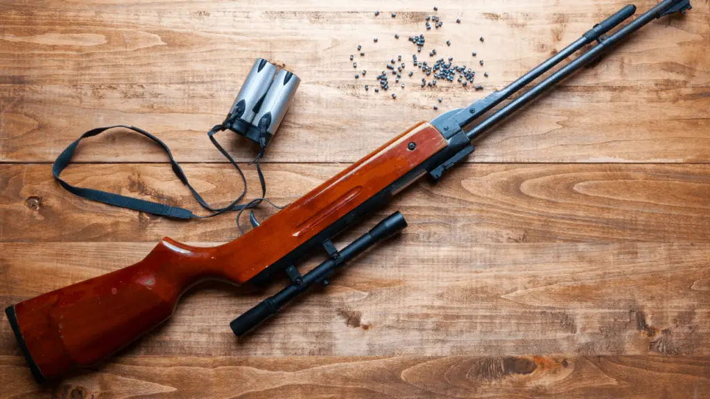 Pellet Gun vs. Chicken Will It Get The Job Done?