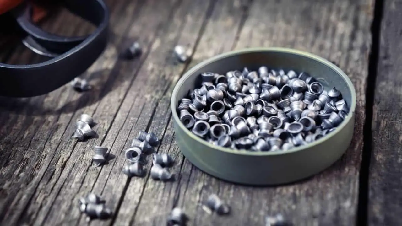 Pellet Gun vs. Chicken Will It Get The Job Done?