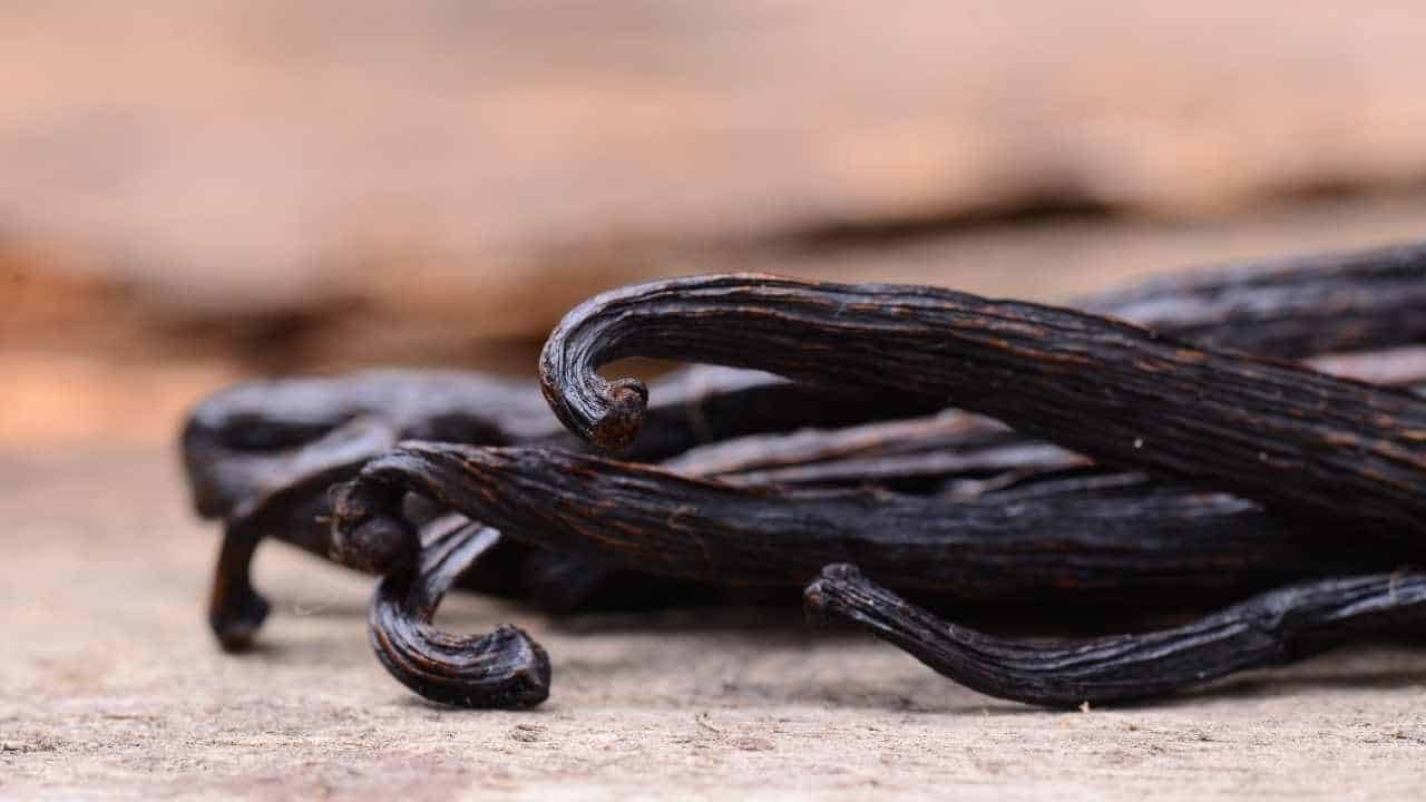 All About Growing Vanilla