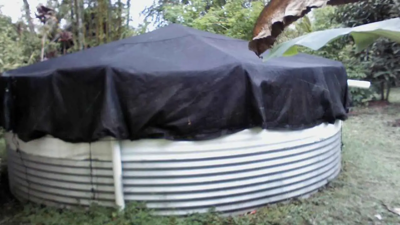 The Cost Of Harvesting Rainwater 2022 Homesteadinʻ Hawaiʻi
