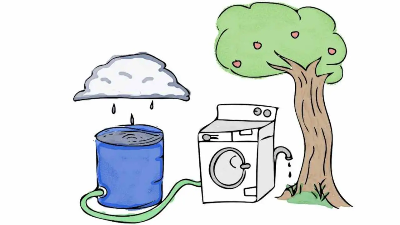 Is Washing Machine Water Safe For Plants?