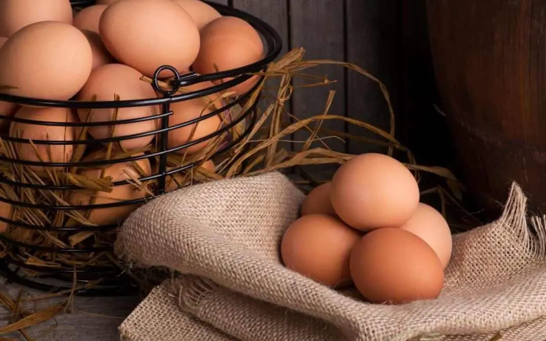 A Dozen Eggs Per Week: How Many Chickens Does It Take?