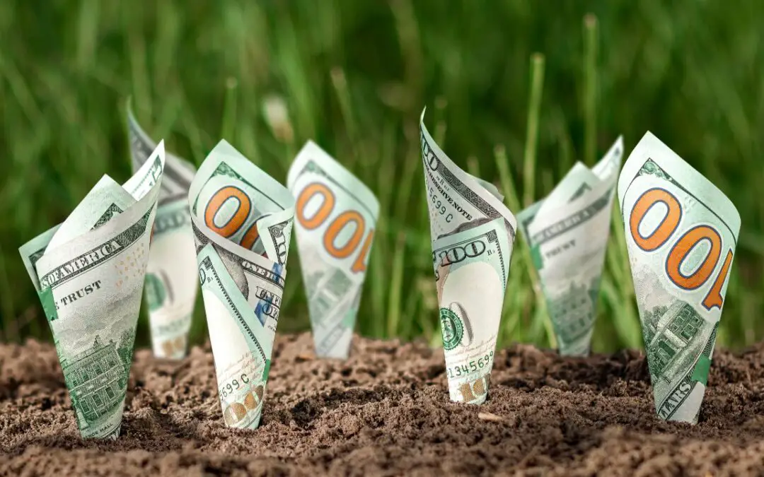 7 Of The Best Ways To Make Money on 1 Acre