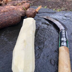 Course - Lesson 3.2: Harvesting Your Own Seeds 1